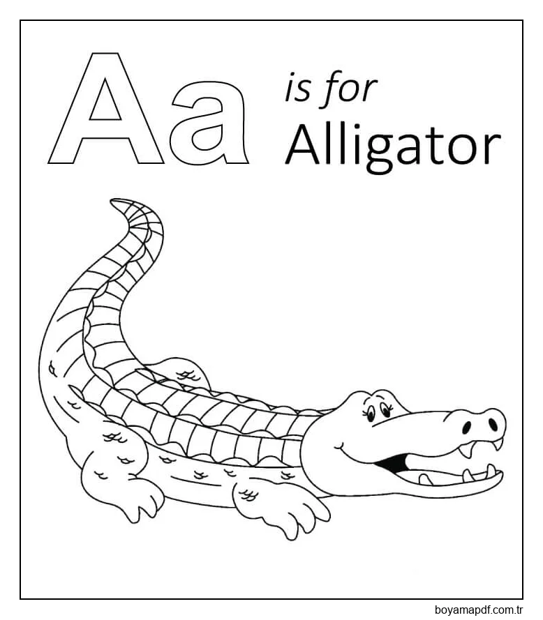 A Timsah Içindir Boyama Sayfası