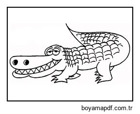 Aptal Timsah Boyama Sayfası