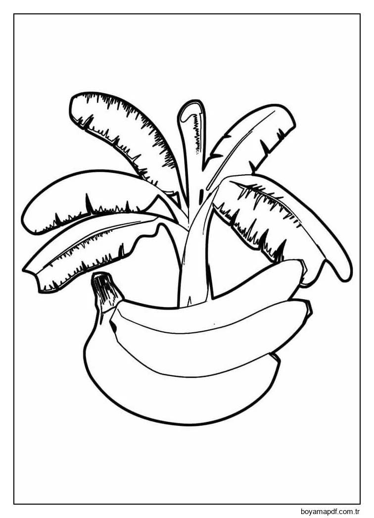 Banana e Bananeira Boyama Sayfası