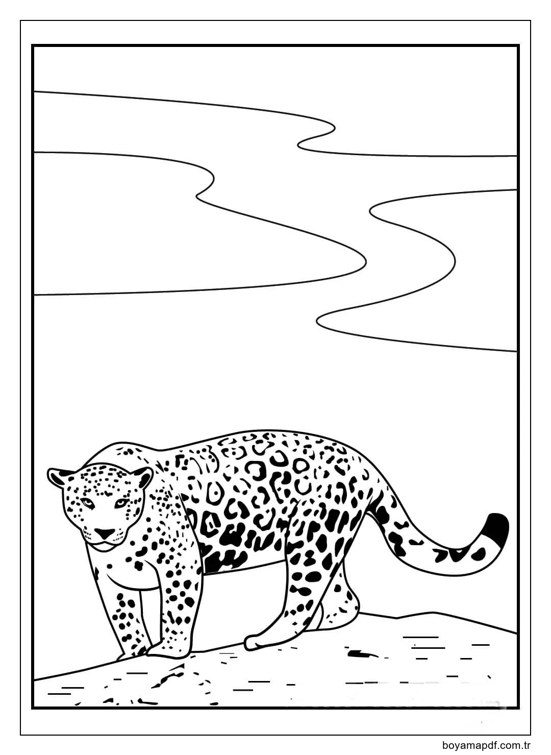 Basit Jaguar Boyama Sayfası
