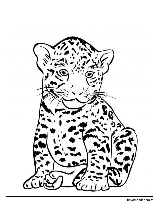 Bebek Jaguar Oturma Boyama Sayfası