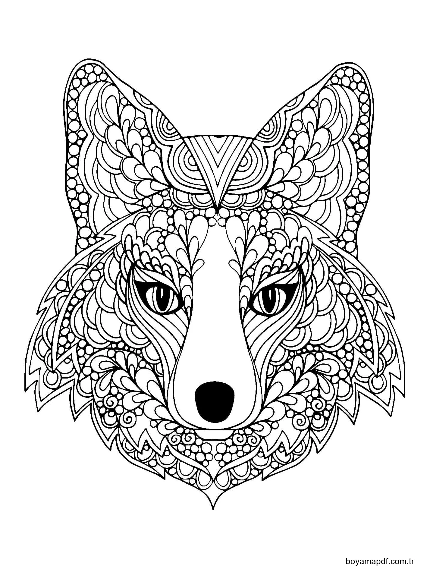 Cool Fox'un Kafası Boyama Sayfası