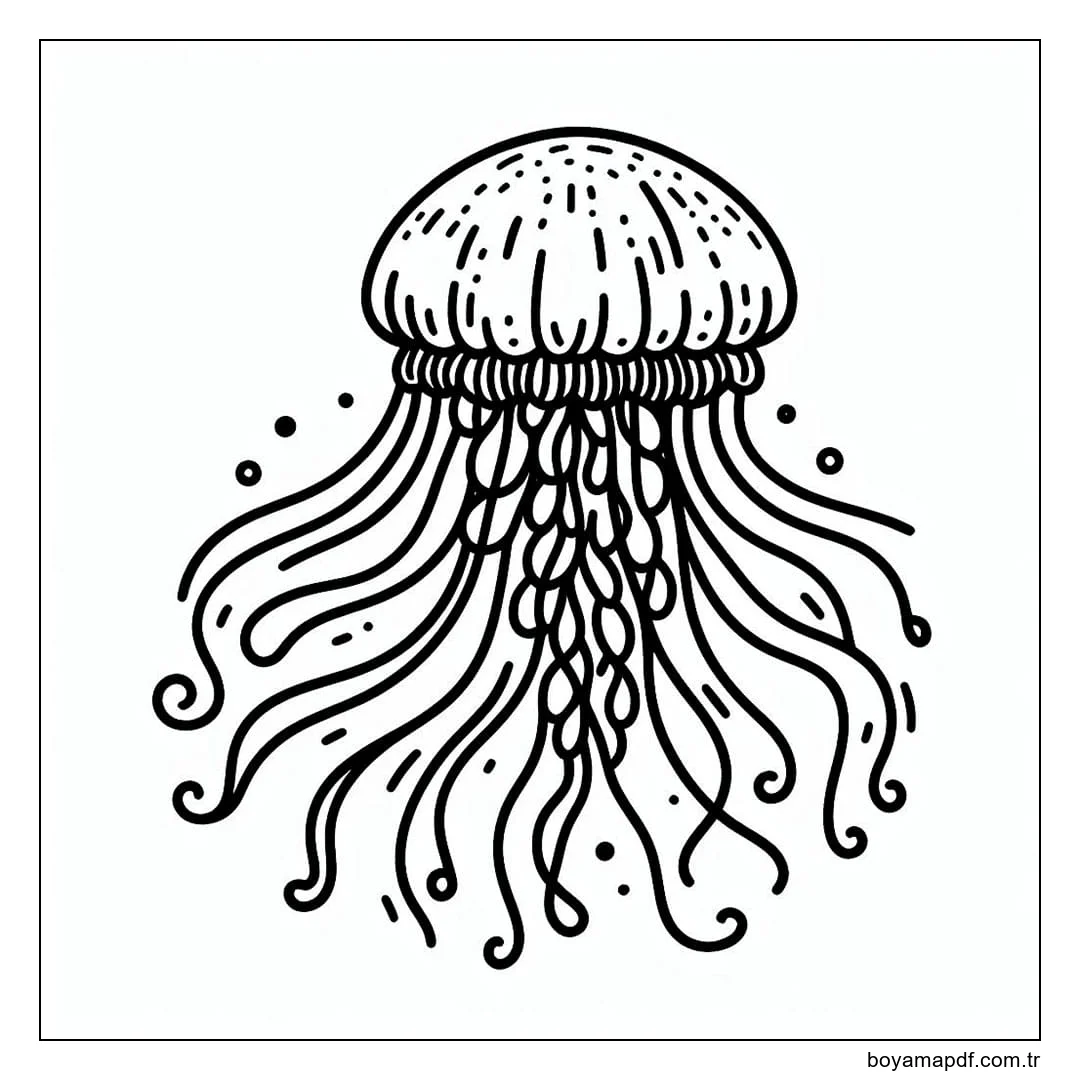 Denizanası anahat Boyama Sayfası