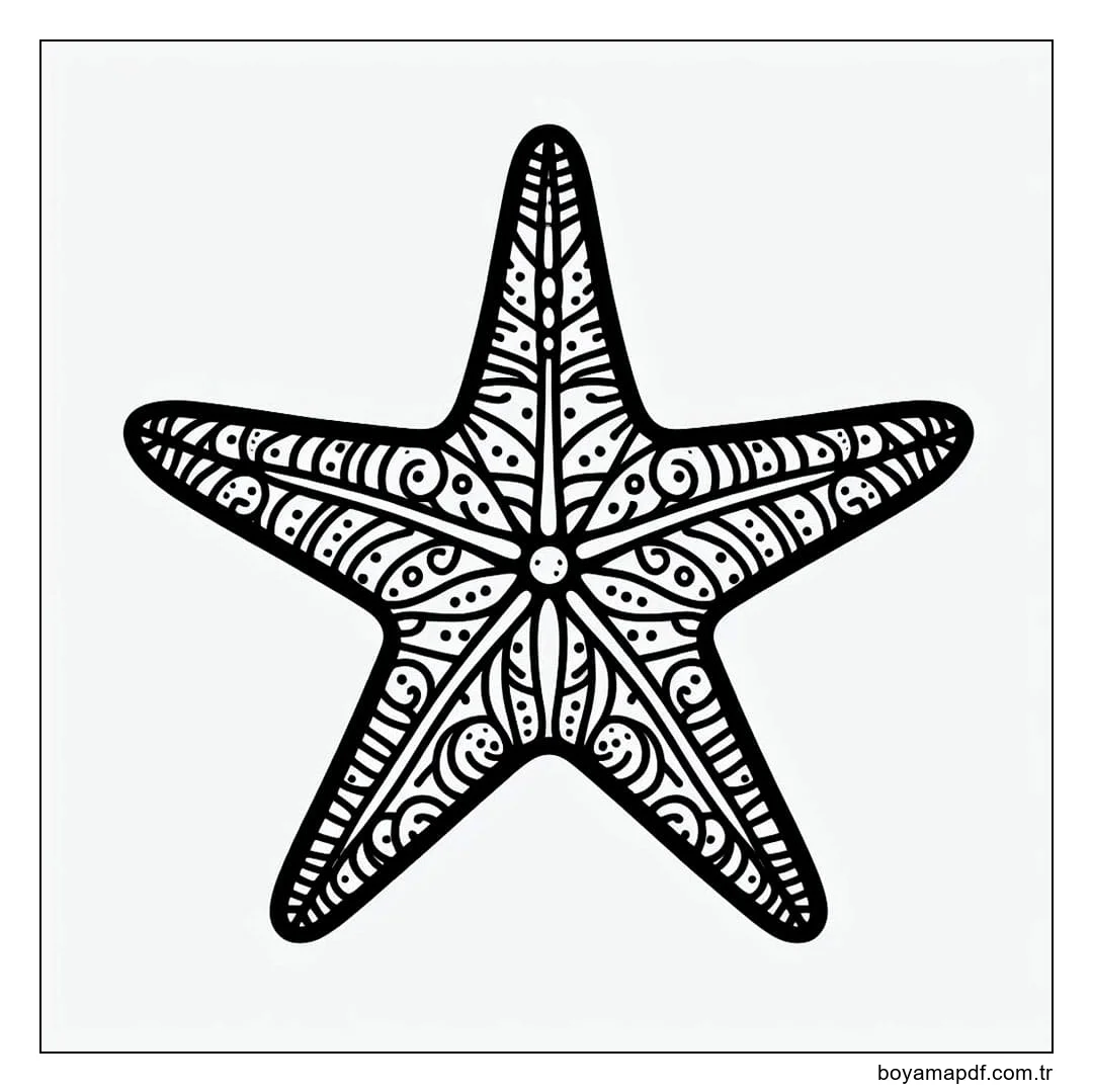 Denizyıldızı taslağı Boyama Sayfası