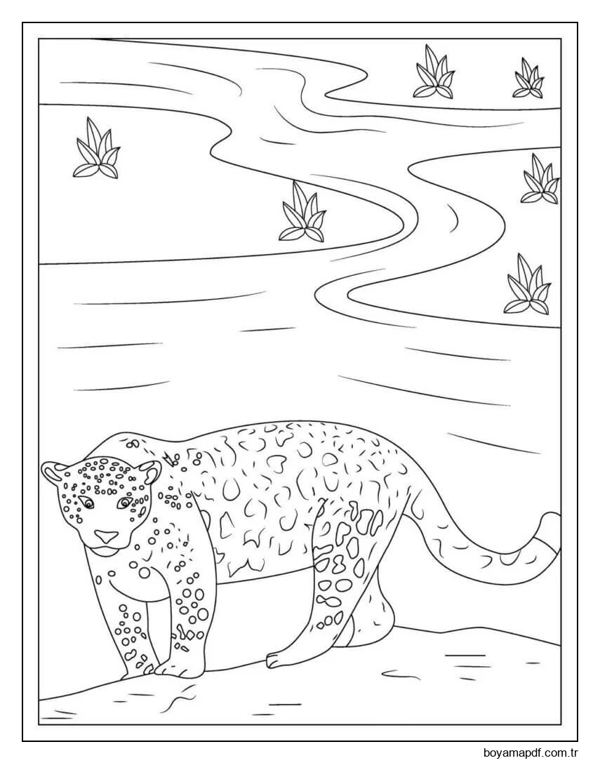Harika Jaguar Boyama Sayfası