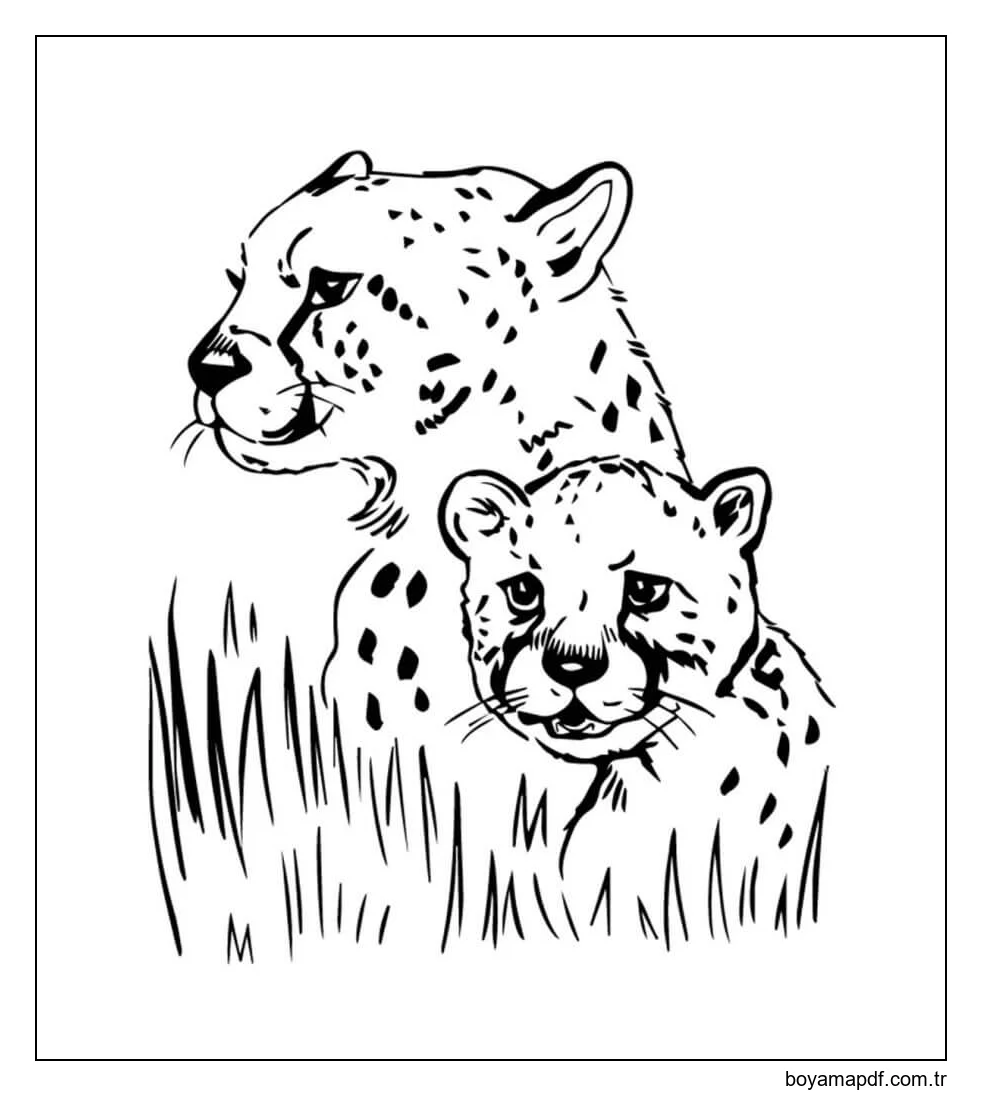 Jaguar'ın İki Portresi Boyama Sayfası