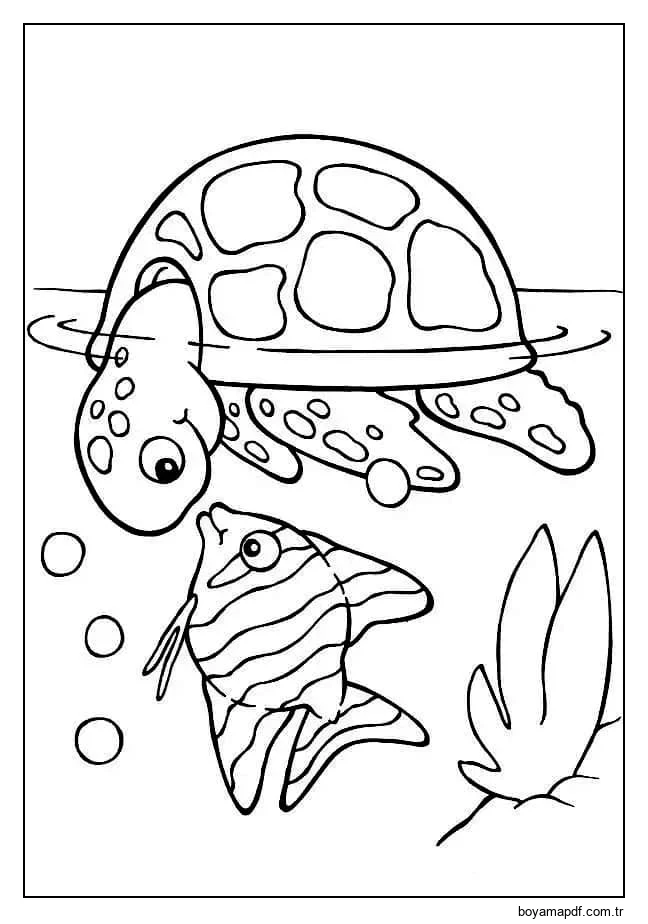 Kaplumbağa ve balık Boyama Sayfası