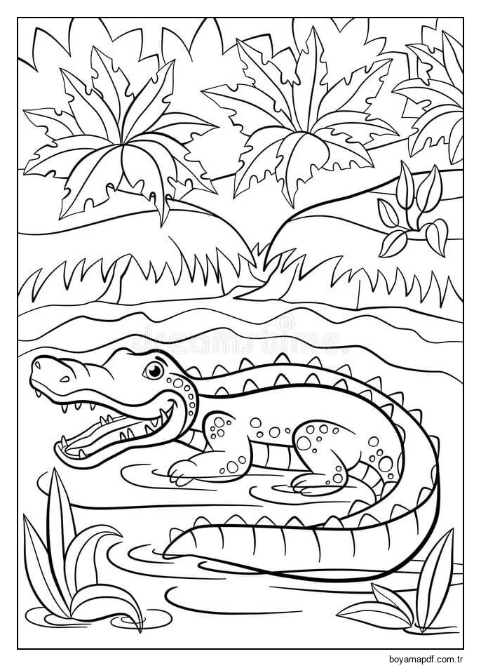 Küçük Sevimli Timsah Gölde Oturuyor Boyama Sayfası