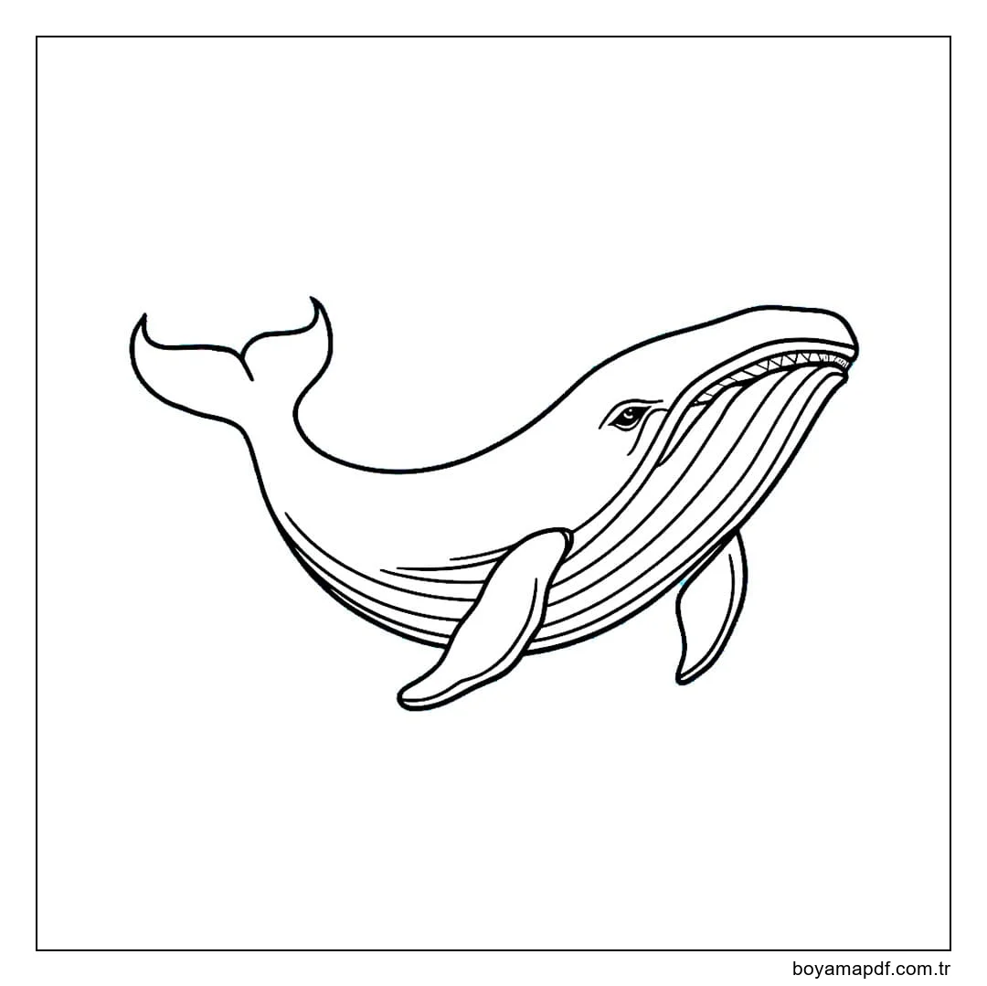 Mavi balina taslağı Boyama Sayfası