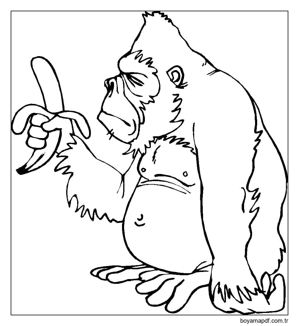 Muz tutan Goril Boyama Sayfası