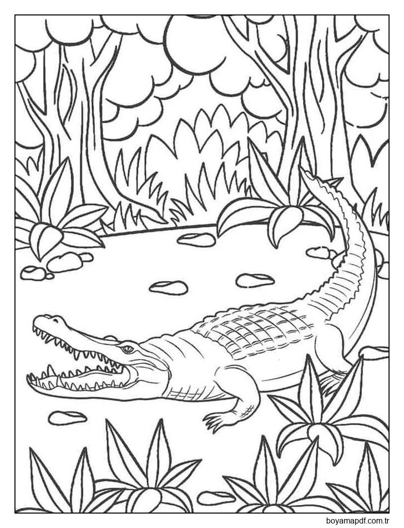 Ormandaki Timsah Boyama Sayfası