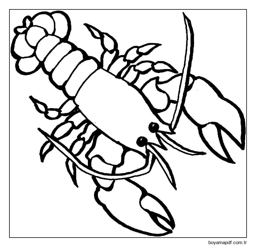 Ücretsiz yazdırılabilir ıstakoz Boyama Sayfası