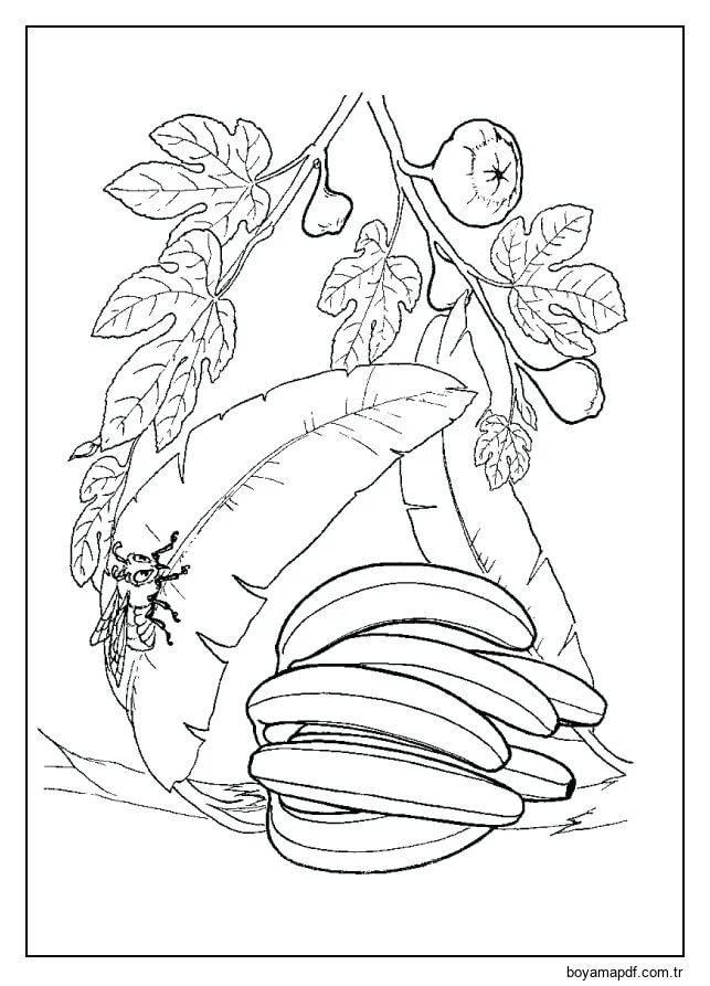 Yapraklı Muz Demet Boyama Sayfası