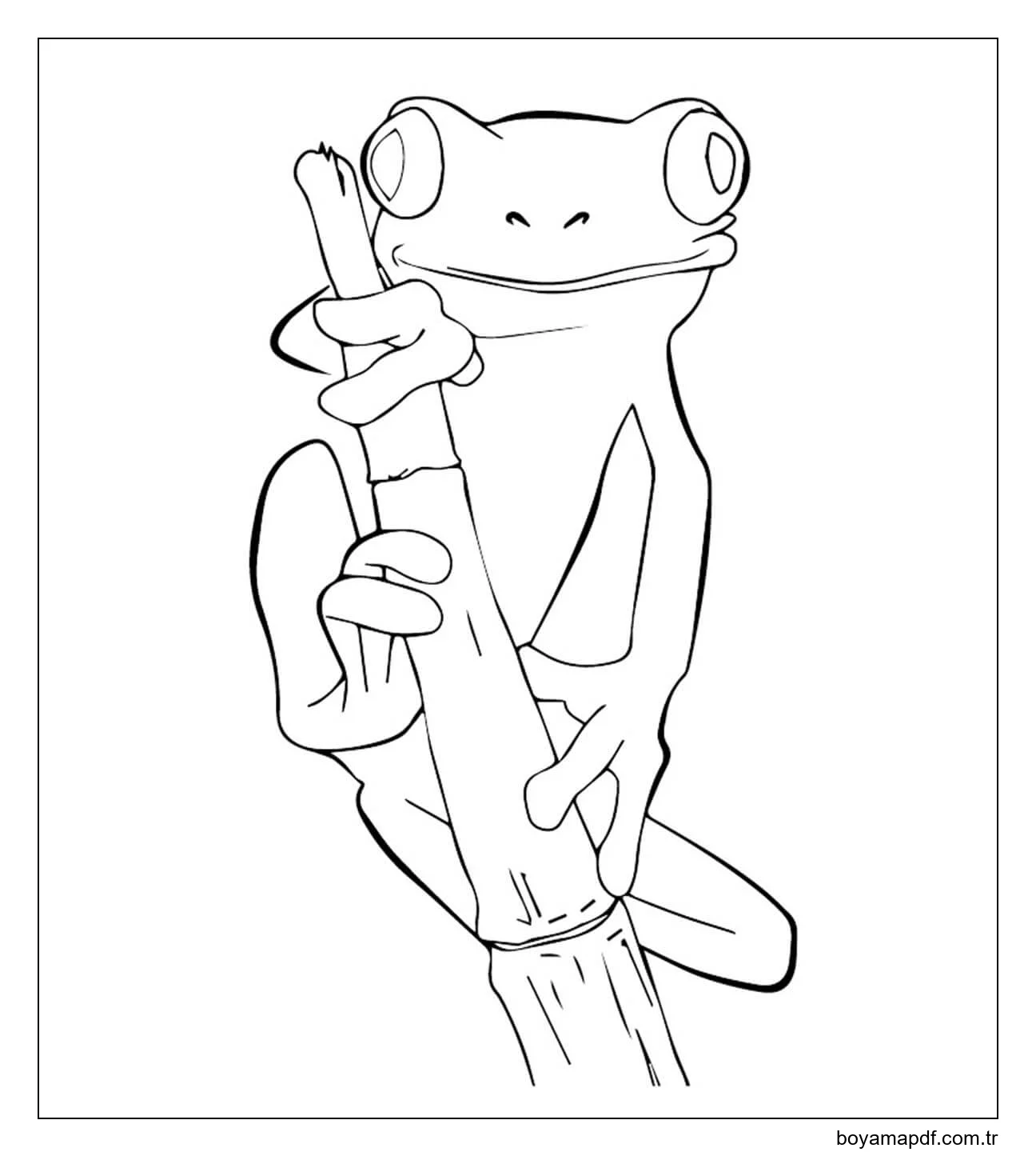 Ağaçta Asılı Kurbağa Boyama Sayfası