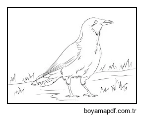 Kaz Ayağı Boyama Sayfası