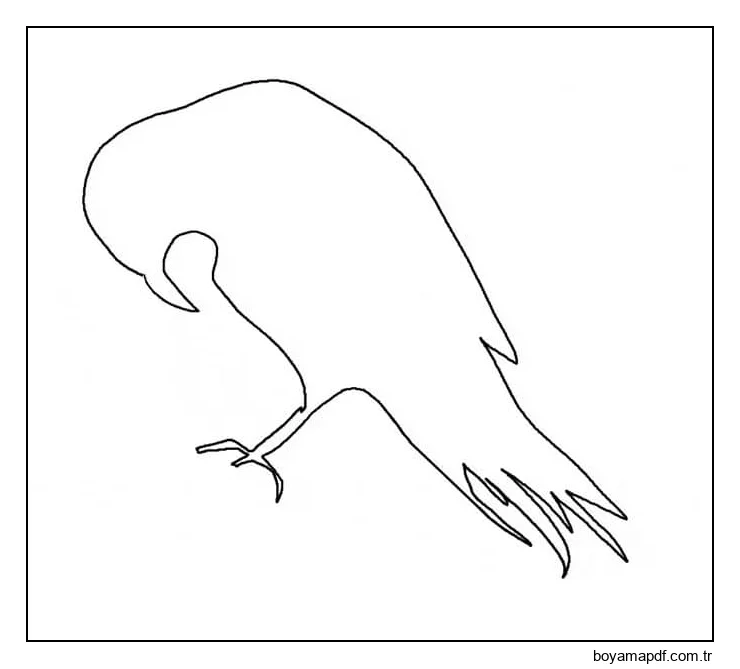 Kuzgun Anahat Boyama Sayfası