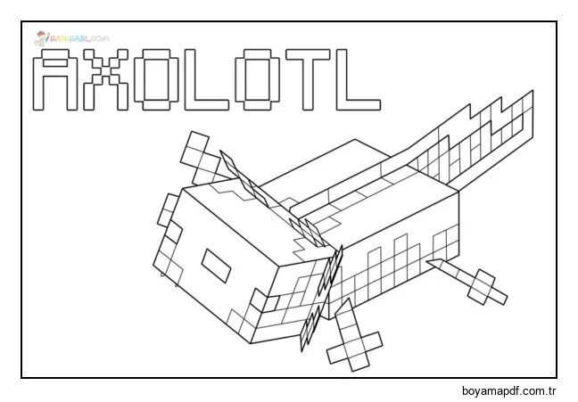 Minecraft Axolotl boyama sayfası Boyama Sayfası