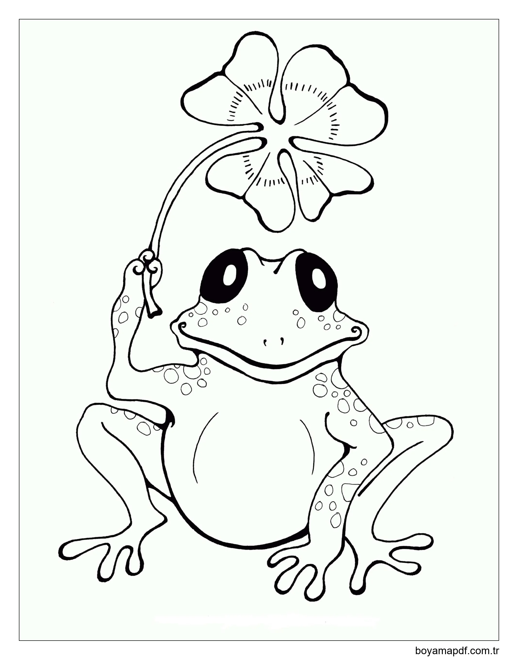 Yapraklı Kurbağa Boyama Sayfası