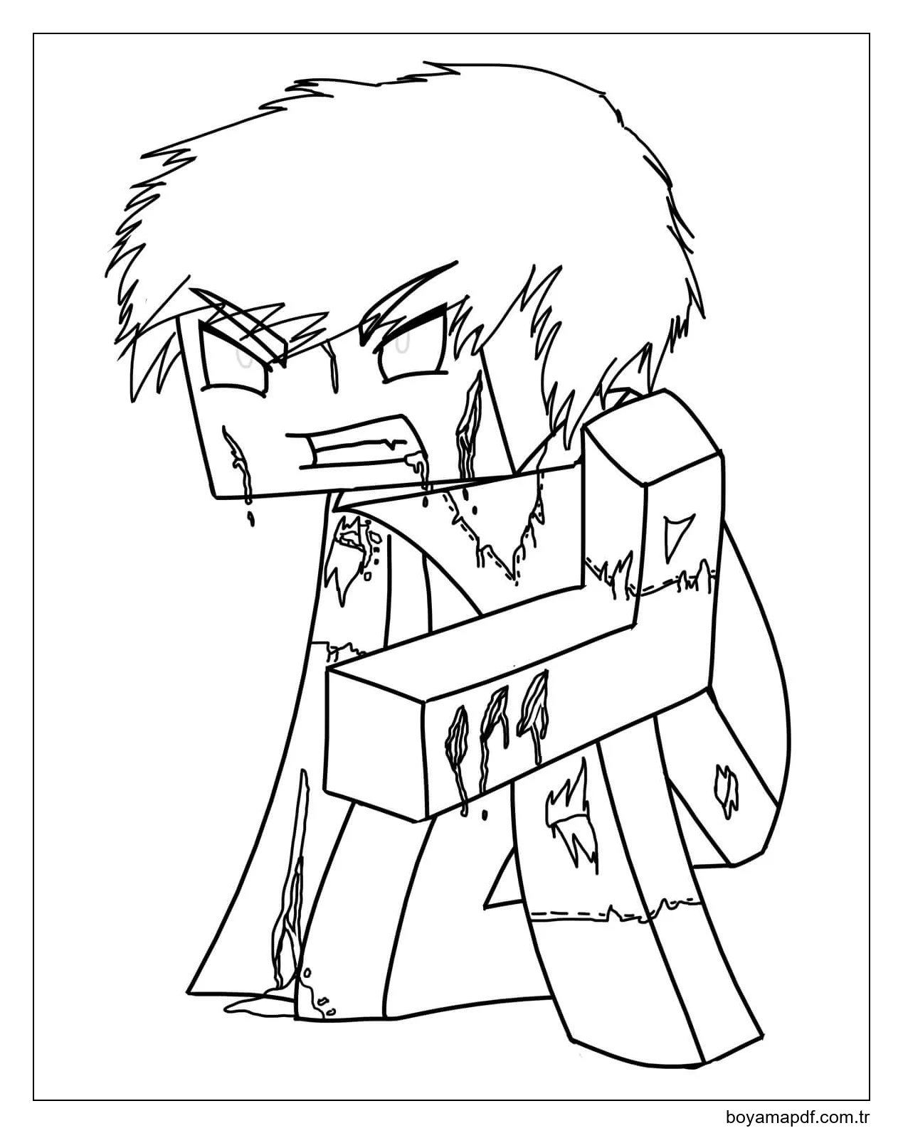 Zombi Steve Boyama Sayfası